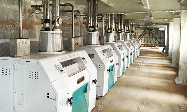 160TPD wheat flour production line in New Zealand