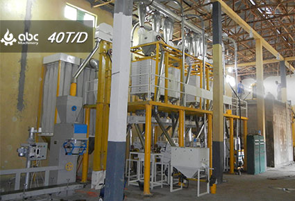 complete wheat processing plant cost