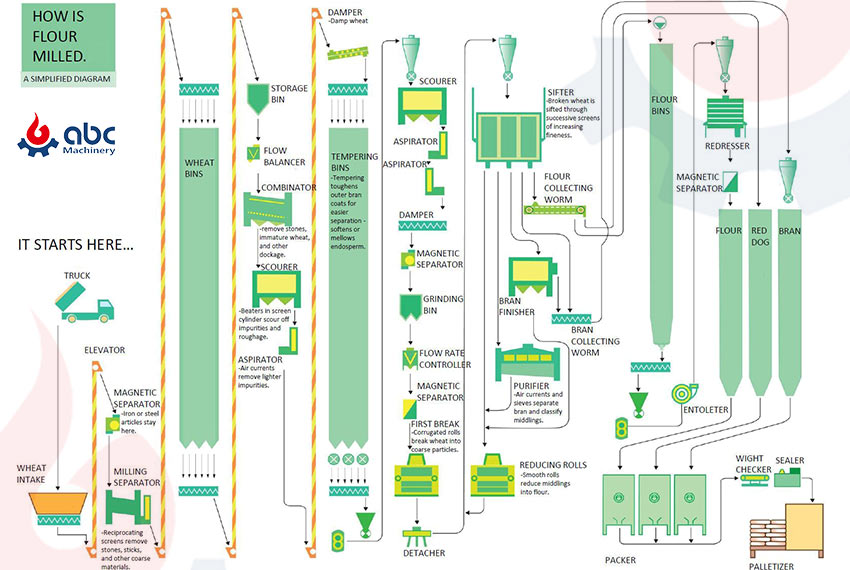 flour processing from wheat