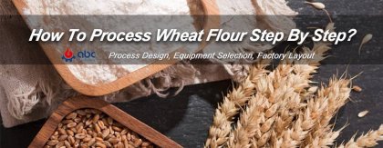 Essential Wheat Processing Steps: Flour Production Guide