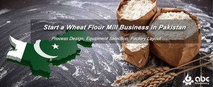 How to Start a Wheat Flour Mill Business in Pakistan?