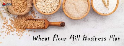 Making a Wheat Flour Mill Business Plan for Profitability