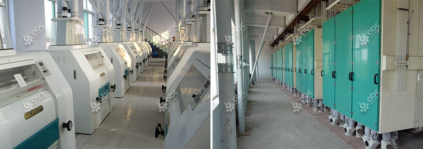 large grain mill cost price for wheat flour processing