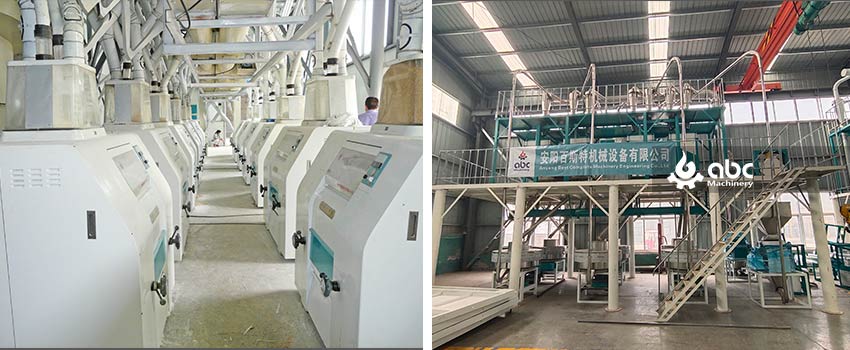 turnkey wheat flour milling plant price