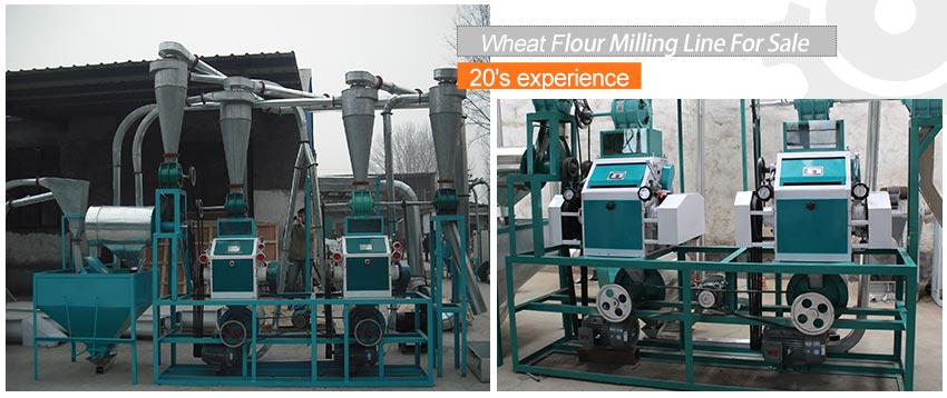 buy wheat flour processing line cost